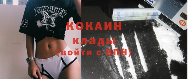 прущие грибы Армянск