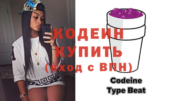 хмурый Арсеньев
