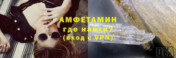 прущие грибы Армянск