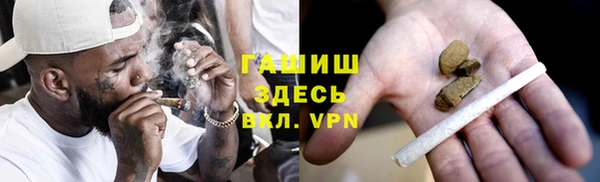 хмурый Арсеньев
