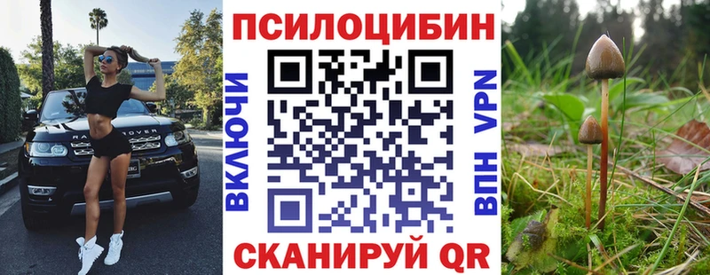 Галлюциногенные грибы прущие грибы  гидра ссылки  Михайловск 